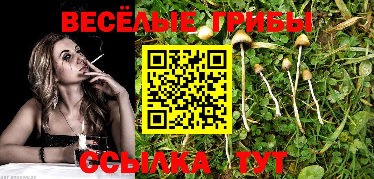 Псилоцибиновые грибы Magic Shrooms Сочи